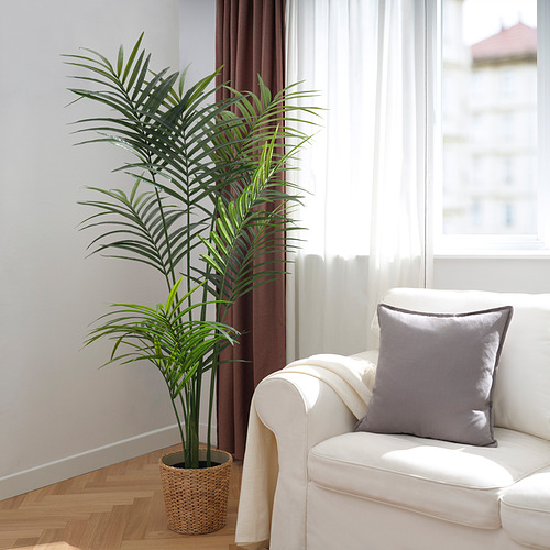 Una acogedora sala de estar con un sofá blanco, una almohada gris y una planta alta en maceta al lado, que agrega un toque de naturaleza.