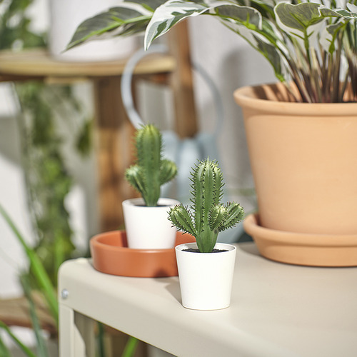 Pequeños cactus artificiales blancos FEJKA se encuentran en estantes entre plantas más grandes. Brillante, compacto y realista.