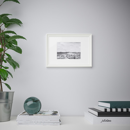 La foto de paisaje enmarcada en blanco y negro cuelga de una pared gris claro, rodeada por una pila de revistas, una esfera azul y una planta en maceta.