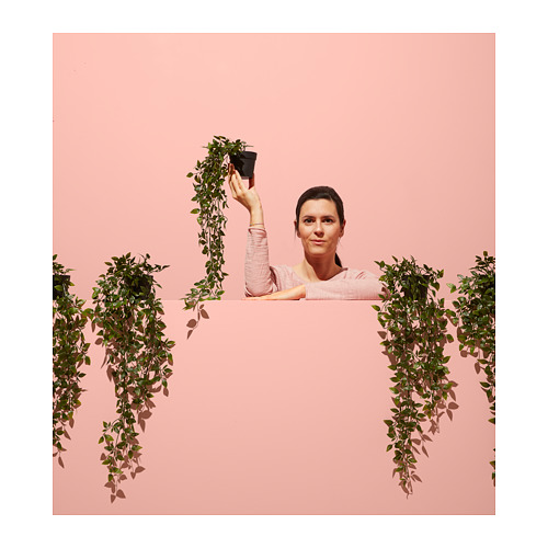 FEJKA, artificial potted plant. 5 of 7 open dialog