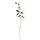 Select colour variation: paper/lisianthus light pink