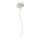 Select colour variation: Rose white