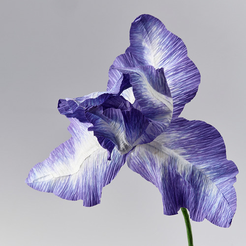 GULDSPETT artificial flower