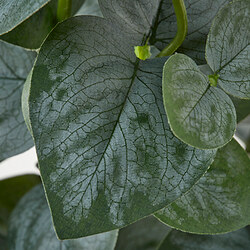 FEJKA artificial potted plant
