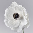 See image GULDSPETT 3 of 3