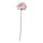 Current variation: Peony white / light pink
