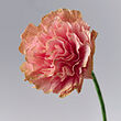 See image GULDSPETT 3 of 3