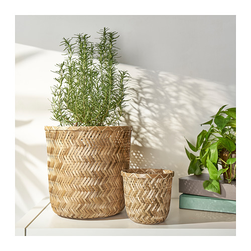 KLYNNON, plant pot. 4 of 8 open dialog