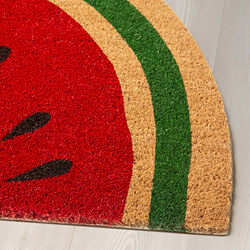 HALLSPÅR Door mat, indoor