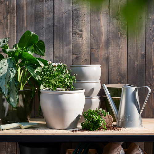 Macetas de gres blanco AMBRARÖNN; Plantas rústicas de interior/exterior medianas y grandes, herramientas y regadera.