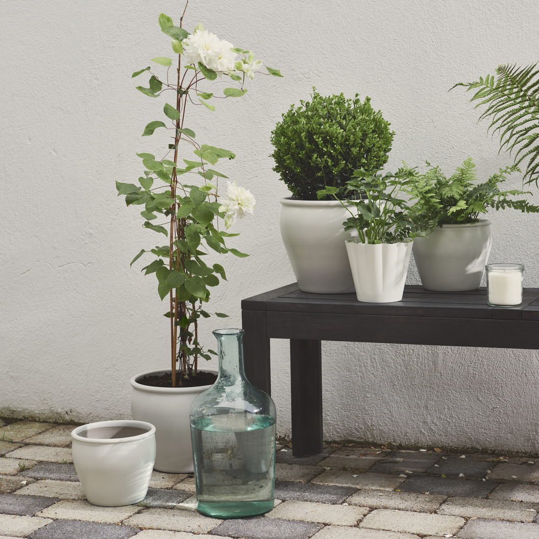 KVASTSPIREA, plant pot. 3 of 3 open dialog
