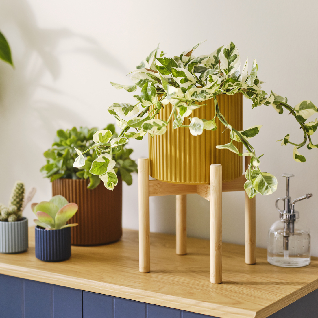 DAKSJUS, plant stand. 3 of 7 open dialog