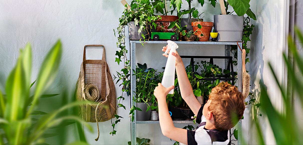 Niño rocía plantas en estantería metálica, rodeado de macetas y vegetación en ambiente interior.