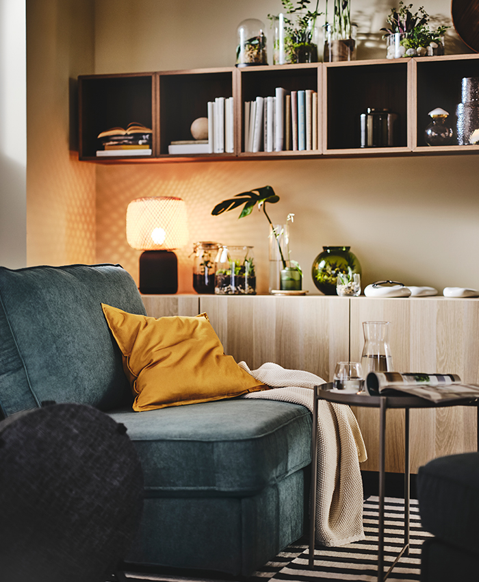 Living room with green sofa, mustard cushion, side table, and wall shelves with books, plants, and ambient lamp.