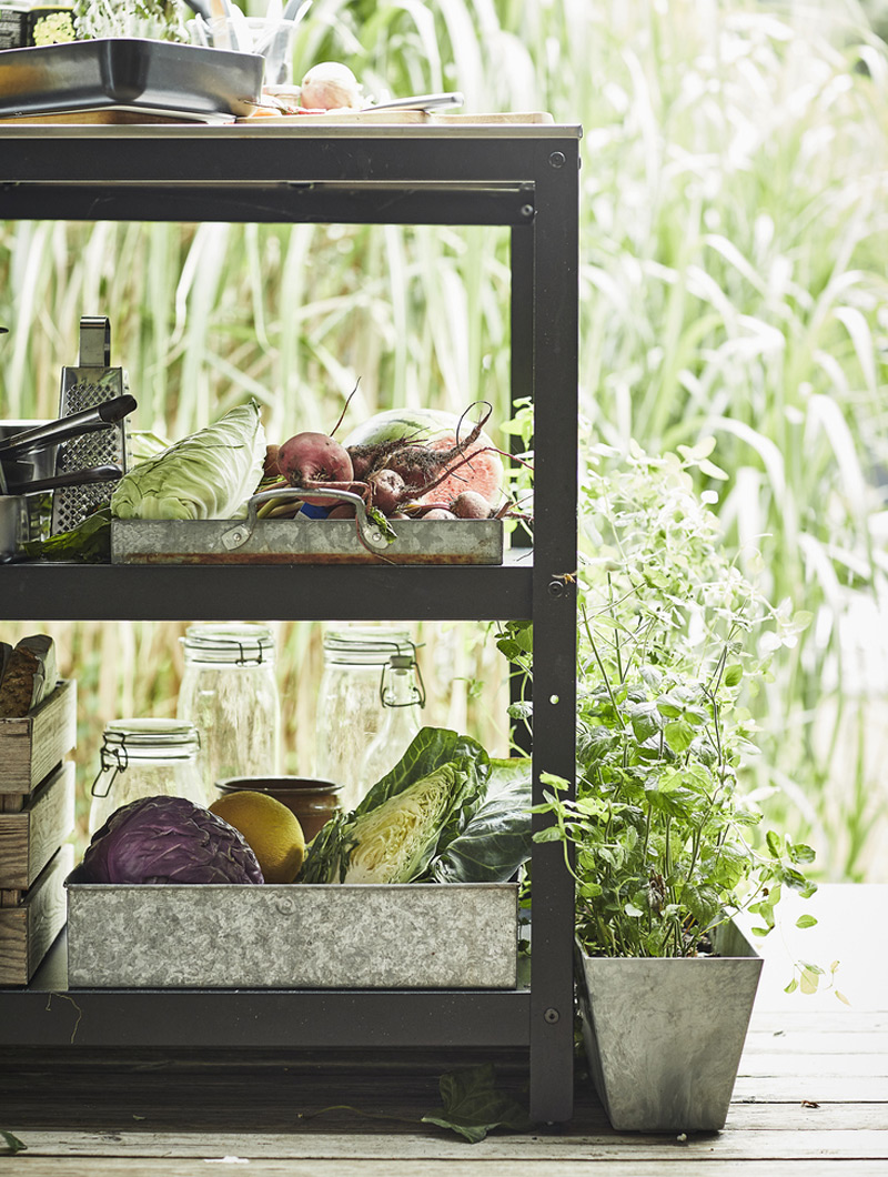 Dark metal shelf with fresh fruits, vegetables, and herbs in zinc trays and pots. Natural and healthy ambiance.