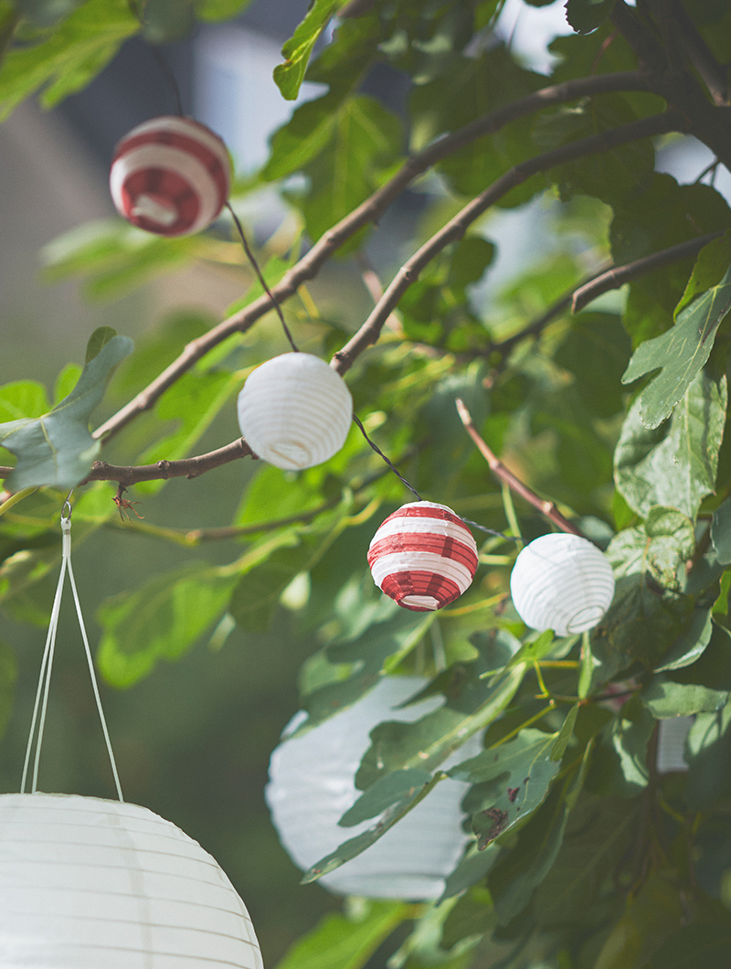 Round outdoor lighting screens hung on branches