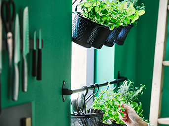 Plantas en macetas colgantes de rejilla negra contra una pared verde. Un cuchillero magnético con cuchillos a la izquierda.