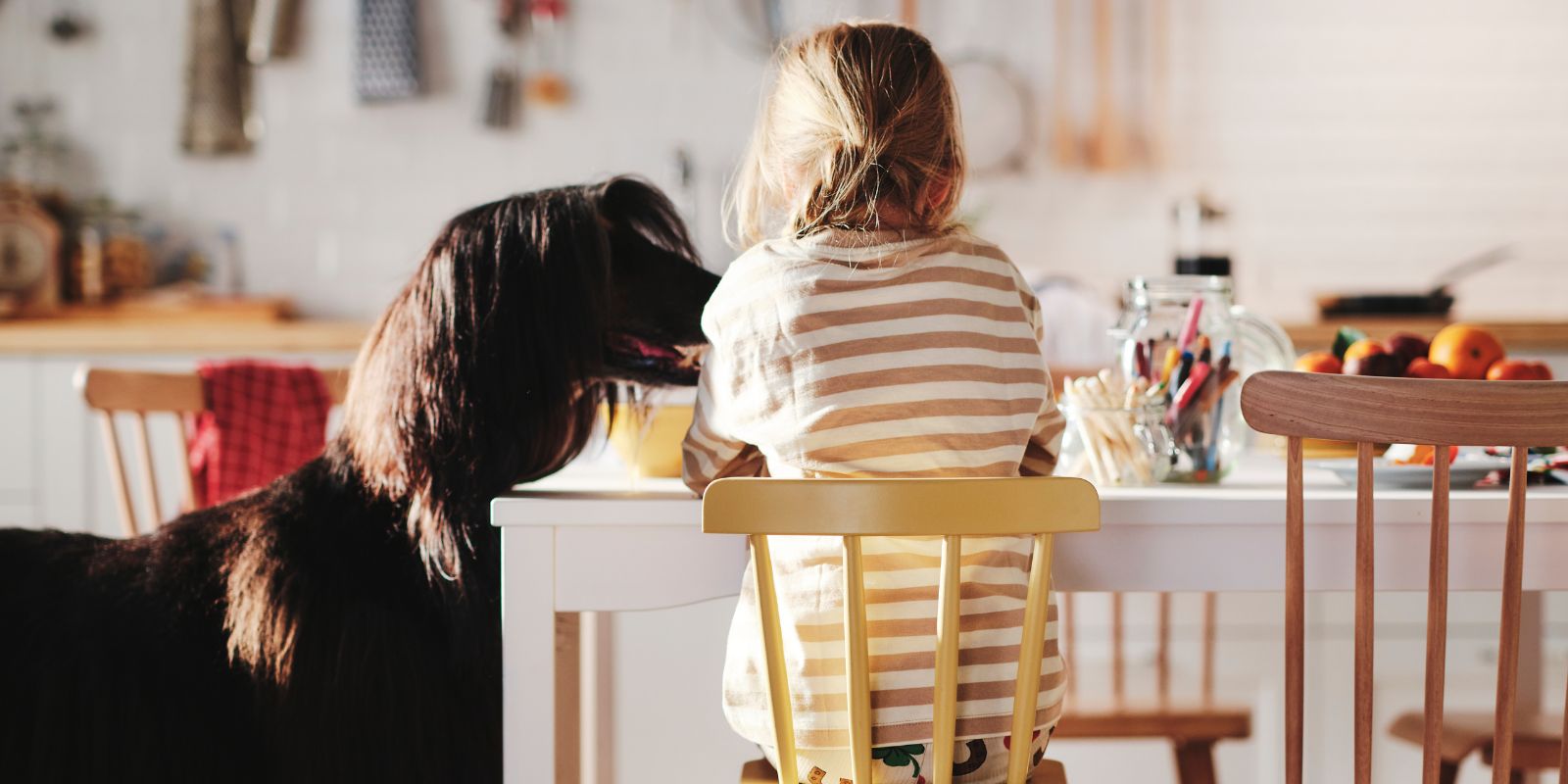 Un niño de cuatro años está sentado a la mesa en una silla junior AGAM. A su izquierda, un gran perro afgano mira por encima de la mesa.