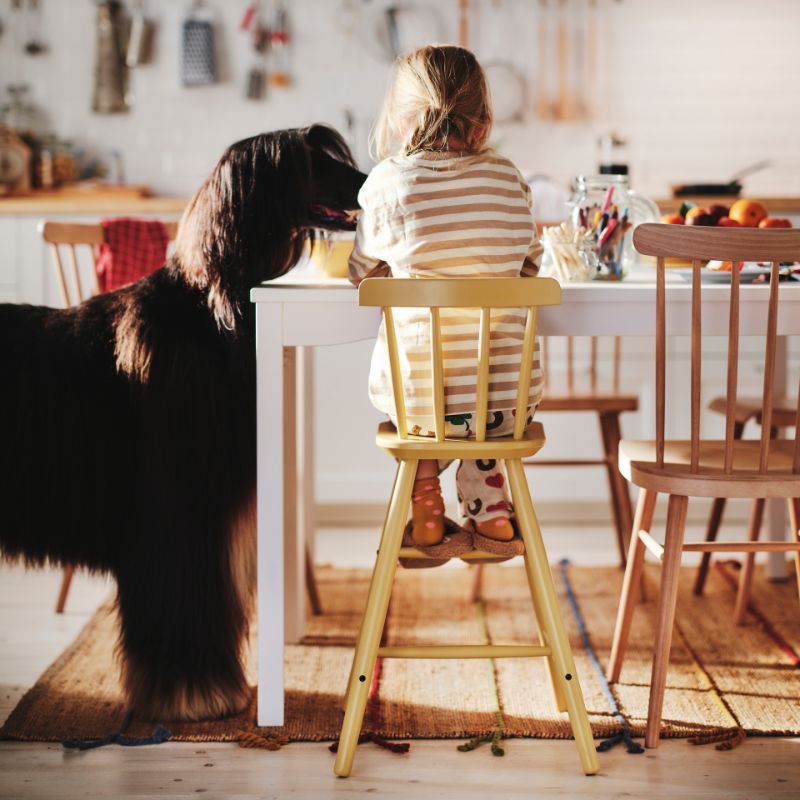 Un niño de cuatro años está sentado a la mesa en una silla junior AGAM. A su izquierda, un gran perro afgano mira por encima de la mesa.