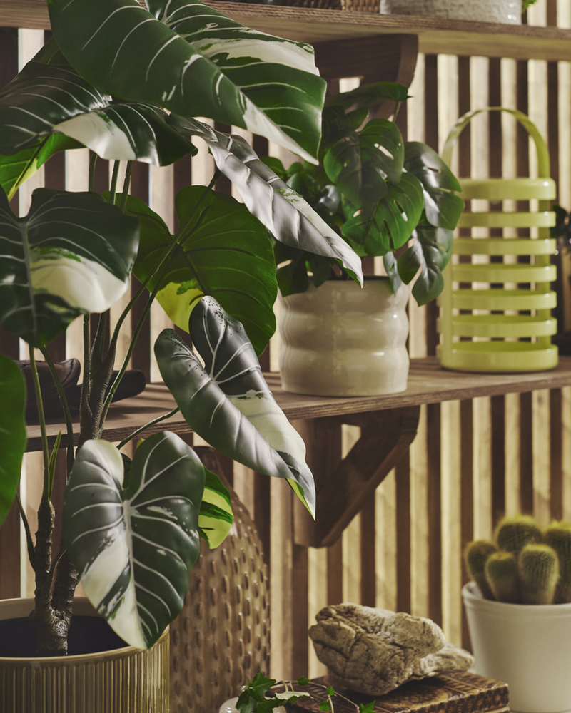 A close-up of a beige HASSELBUKETT plant pot showcasing vibrant green plants on wooden shelves.