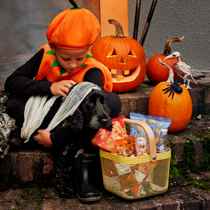 Niño disfrazado de calabaza sentado junto a un perro negro vendado, cesta metálica amarilla con aperitivos, calabazas de Halloween y pájaro esqueleto.