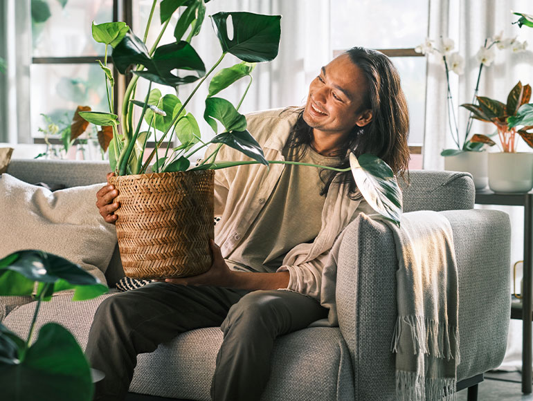 Consejos para cuidar tus plantas de interior